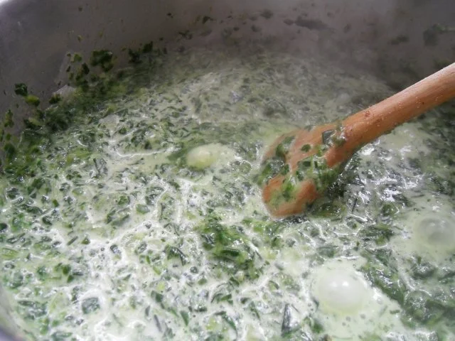 Rezept: Pasta mit Spinat Bild Nr. 9 Pasta mit Spinat - Rezept - Bild Nr. 9