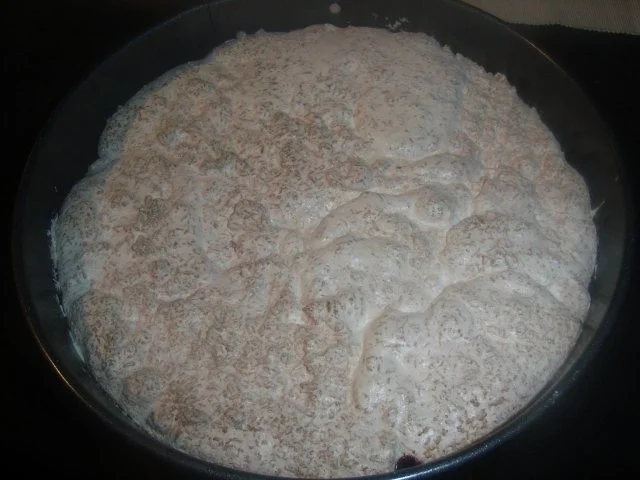 BiNe` S KOKOSSCHNITTEN - Rezept - Bild Nr. 6