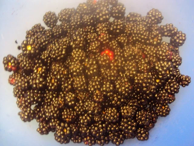 Brombeer Konfitüre - Rezept - Bild Nr. 2