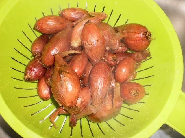 Rezept: Italienische Koteletts mit Zwiebeln und Tomaten Bild Nr. 4 Italienische Koteletts mit Zwiebeln und Tomaten - Rezept - Bild Nr. 4