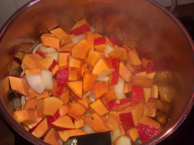 Rezept: Kürbissuppe ( Kürbis Sandornsuppe ) Bild Nr. 4 Kürbissuppe ( Kürbis Sandornsuppe ) - Rezept - Bild Nr. 4