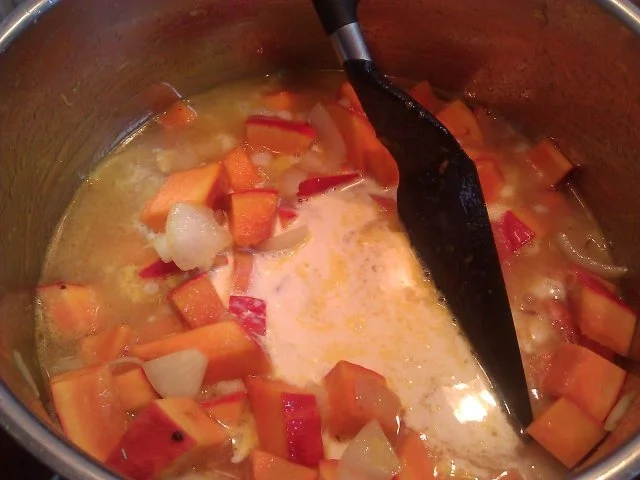 Rezept: Kürbissuppe ( Kürbis Sandornsuppe ) Bild Nr. 5 Kürbissuppe ( Kürbis Sandornsuppe ) - Rezept - Bild Nr. 5