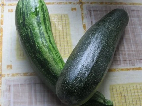 Wildhack-Buletten, sanft gegart mit Zucchini-Gemüse - Rezept - Bild Nr. 3