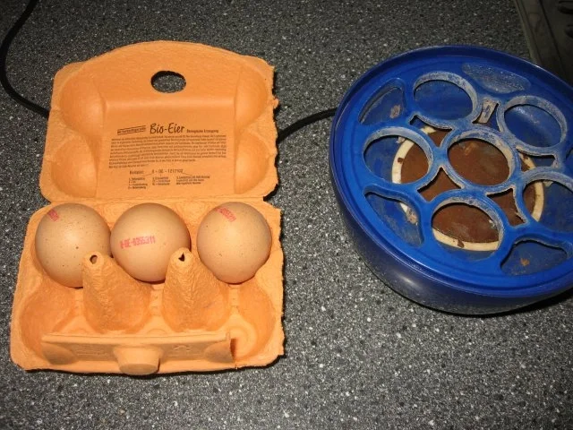 Vegetarischer Schichtsalat - Rezept - Bild Nr. 3