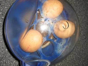 Vegetarischer Schichtsalat - Rezept - Bild Nr. 4