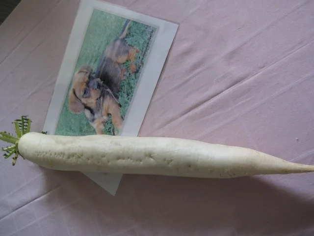 Rezept: Rettichsalat Bild Nr. 2 Rettichsalat - Rezept - Bild Nr. 2