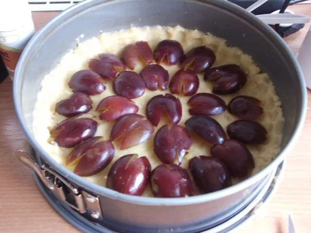 Streuselkuchen mit Zwetschgen - Rezept - Bild Nr. 3