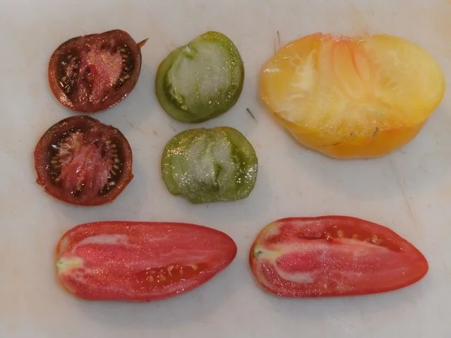 Rezept: Beilage: Tomatenteller, bunt Bild Nr. 3 Beilage: Tomatenteller, bunt - Rezept - Bild Nr. 3