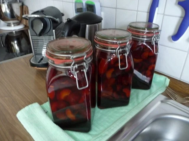 Liköre & Co : Pflaumenlikör im Jahr 2011 - Rezept - Bild Nr. 4