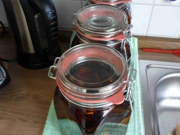 Liköre & Co : Pflaumenlikör im Jahr 2011 - Rezept - Bild Nr. 3