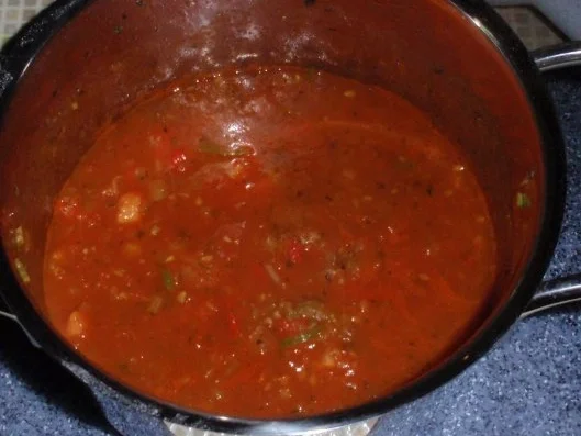 Rezept: Scharfe Tomatensoße mit Spaghetti Bild Nr. 10 Scharfe Tomatensoße mit Spaghetti - Rezept - Bild Nr. 10