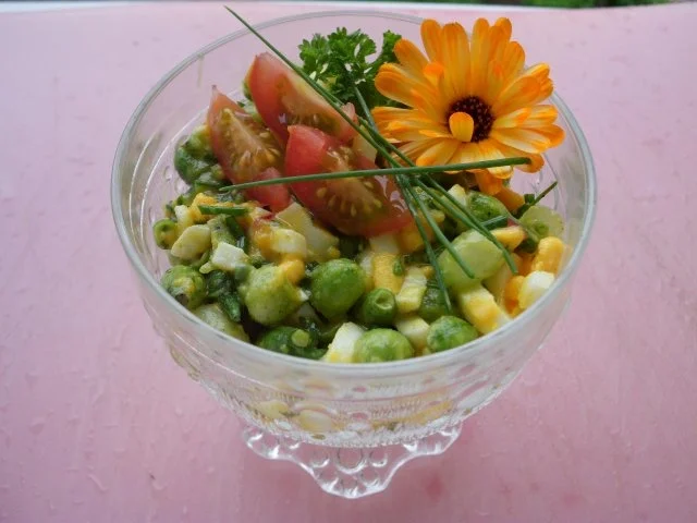 Rezept: Radieschensamenschotensalat Radieschensamenschotensalat - Rezept