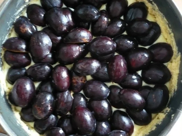 Rezept: Zwetschgenkuchen mit Schmandguß Bild Nr. 6 Zwetschgenkuchen mit Schmandguß - Rezept - Bild Nr. 6