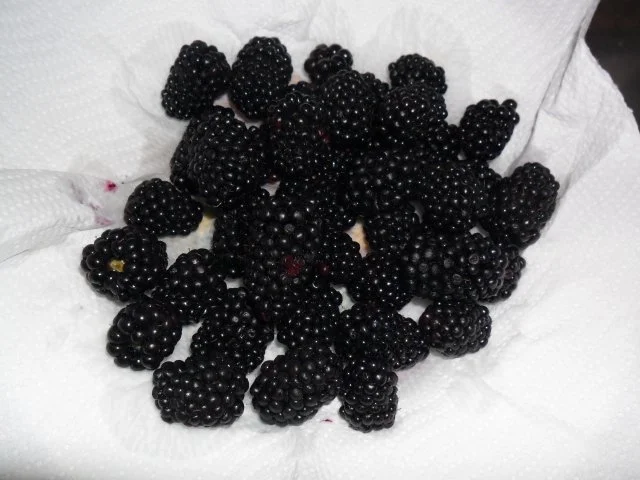 BROMBEER-TOPFEN-STRUDEL - Rezept - Bild Nr. 2