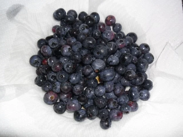 HEIDELBEER-TOPFEN-STRUDEL - Rezept - Bild Nr. 2