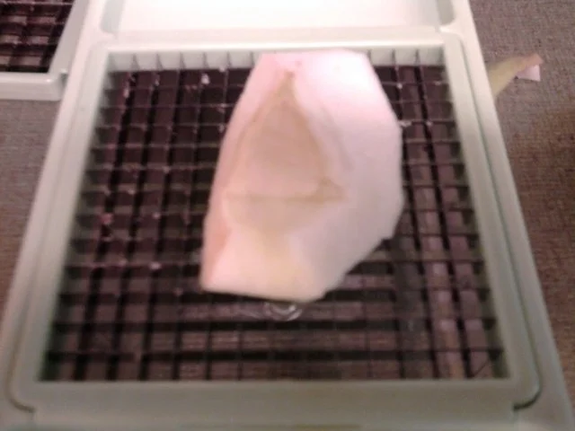 Apfelmuffins - Rezept - Bild Nr. 5