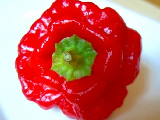 Little Balls of Fire - Rezept - Bild Nr. 2