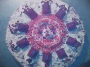 Ferrero - Küßchen - Torte - Rezept