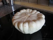 Patisson gegrillt - mit Schafskäse, "be veggi" - Rezept