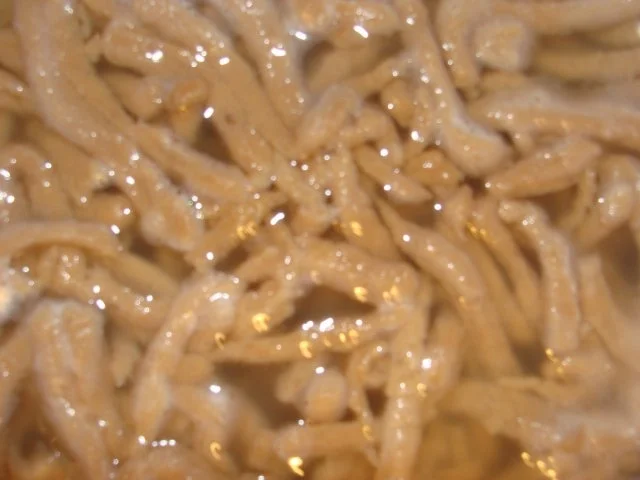 -Steinpilzspätzle - Rezept - Bild Nr. 3