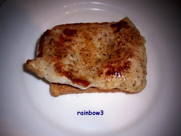 Kochen: Putensteak, pur - Rezept - Bild Nr. 3