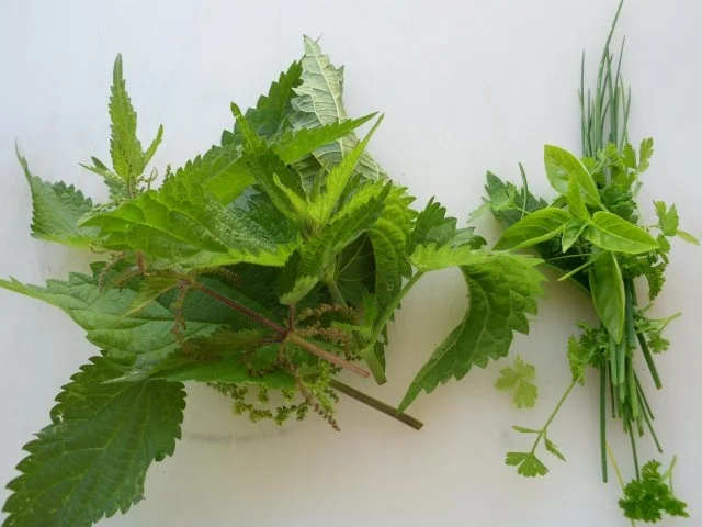 Erbsenpüree - Rezept - Bild Nr. 4