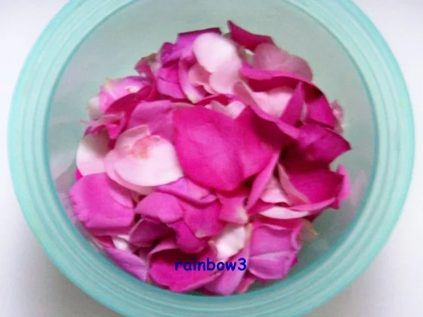 Rezept: Einmachen: Rosen-Apfel-Gelee Bild Nr. 2 Einmachen: Rosen-Apfel-Gelee - Rezept - Bild Nr. 2