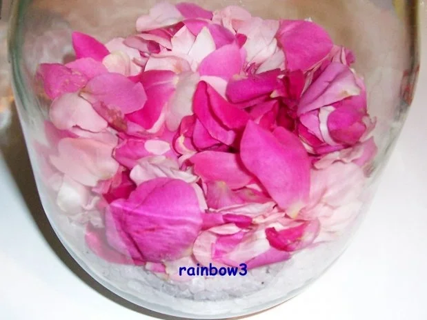 Rezept: Einmachen: Rosen-Apfel-Gelee Bild Nr. 3 Einmachen: Rosen-Apfel-Gelee - Rezept - Bild Nr. 3