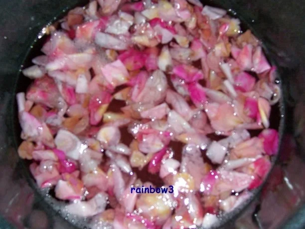 Rezept: Einmachen: Rosen-Apfel-Gelee Bild Nr. 5 Einmachen: Rosen-Apfel-Gelee - Rezept - Bild Nr. 5