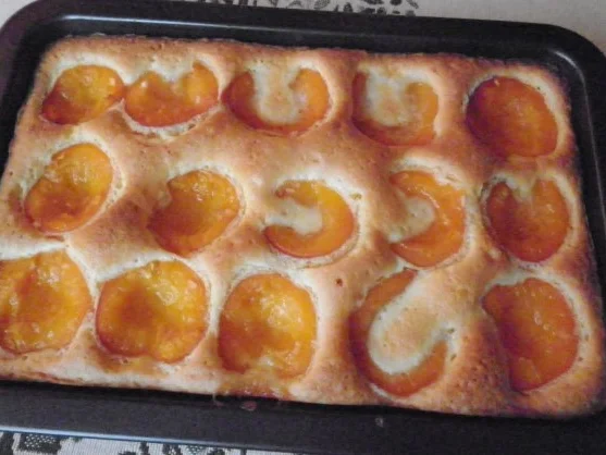 Kleiner Marillenkuchen ... - Rezept - Bild Nr. 4