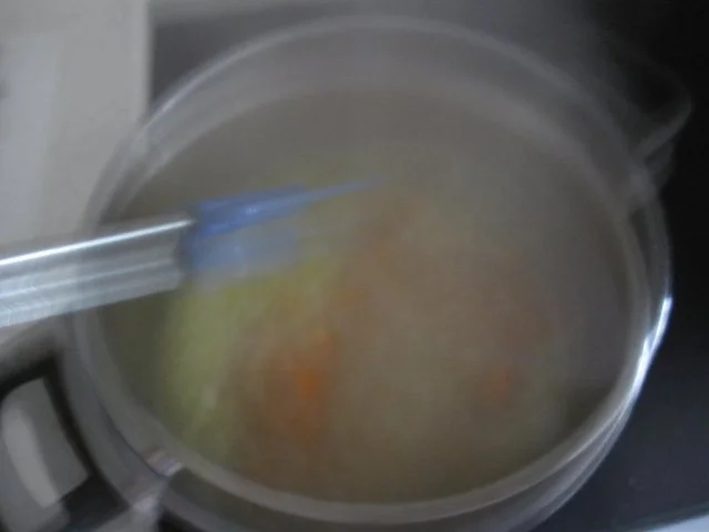 Zucchinisuppe mit Reis - Rezept - Bild Nr. 4