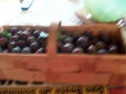 Hasi's Pflaumenkompott - Rezept