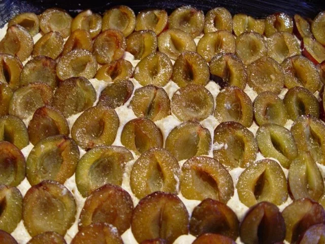 Rezept: Pflaumen-Schmandkuchen Bild Nr. 4 Pflaumen-Schmandkuchen - Rezept - Bild Nr. 4