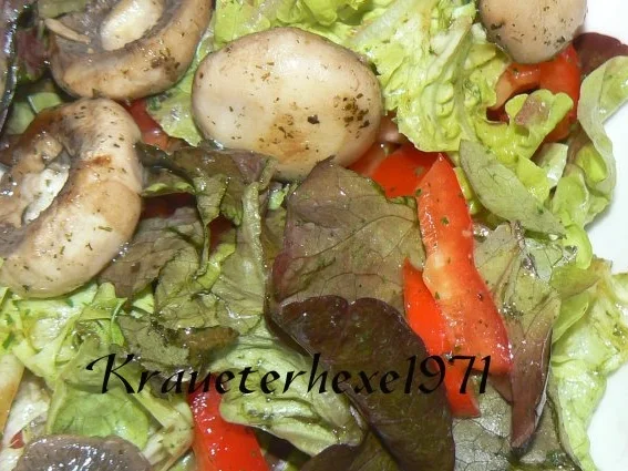 Mittagessen a la Kräuterhexe - Rezept - Bild Nr. 3