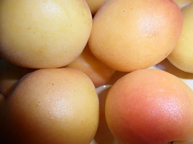 Rezept: Pasta mit Aprikosen-Sauce Bild Nr. 4 Pasta mit Aprikosen-Sauce - Rezept - Bild Nr. 4