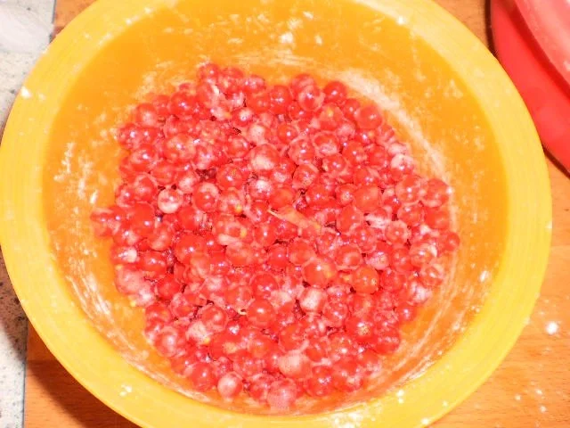 Rezept: Johannisbeer-Käsekuchen Bild Nr. 6 Johannisbeer-Käsekuchen - Rezept - Bild Nr. 6