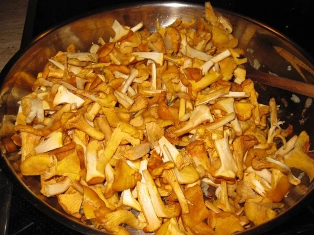 Rezept: Rinderschnitzel mit Eierschwammerlsauce (Pfifferlingsauce) Rinderschnitzel mit Eierschwammerlsauce (Pfifferlingsauce) - Rezept