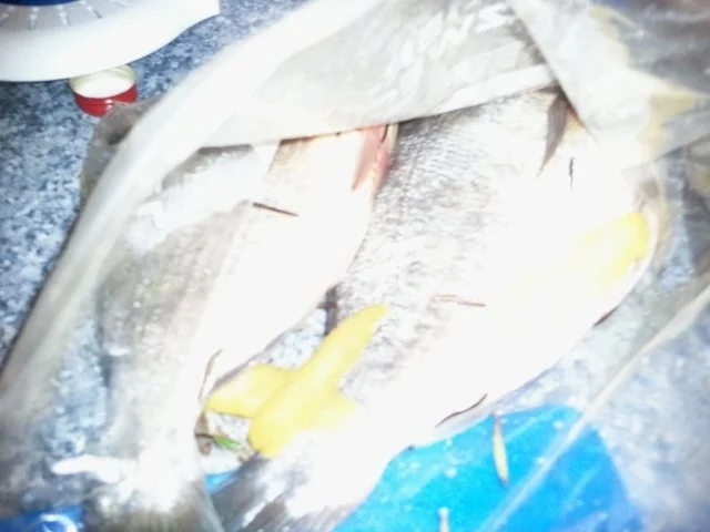 Doro auf dem Grill - Rezept - Bild Nr. 4