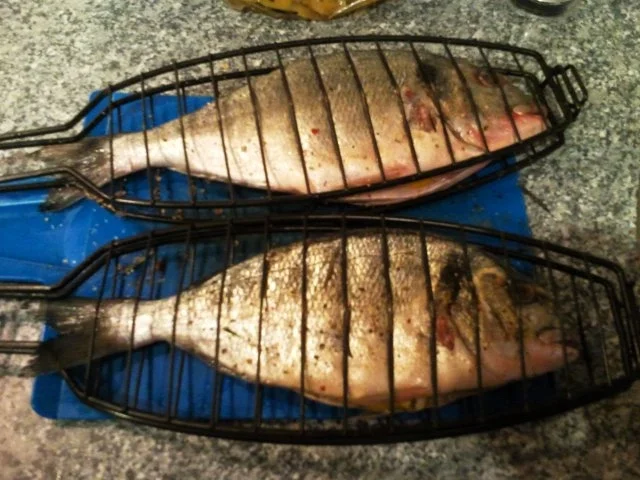 Doro auf dem Grill - Rezept - Bild Nr. 6