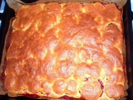 Kuchen: Zwetschgenschnitten mit Quark - Rezept - Bild Nr. 3