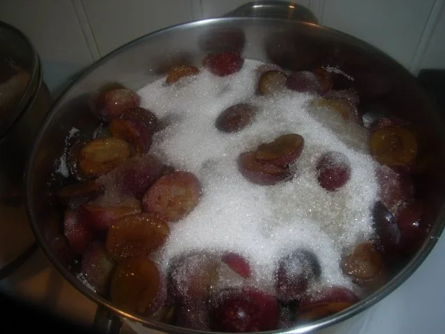 BiNe` S PFLAUMENMUS - Rezept - Bild Nr. 4