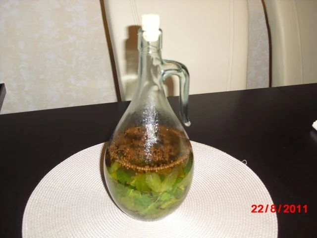 Rezept: Minz-Likör Minz-Likör - Rezept