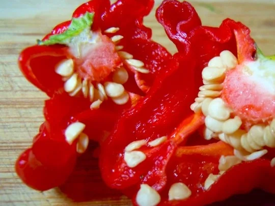 Würzige Hähnchenbrust auf Tomaten-Joghurt-Sauce mit Basmati-Reis - Rezept - Bild Nr. 2