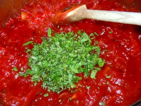 Würzige Hähnchenbrust auf Tomaten-Joghurt-Sauce mit Basmati-Reis - Rezept - Bild Nr. 7