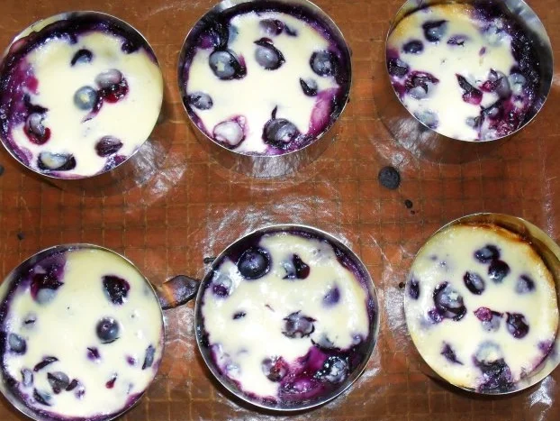 Heidelbeer - Quark - Törtchen - Rezept - Bild Nr. 5