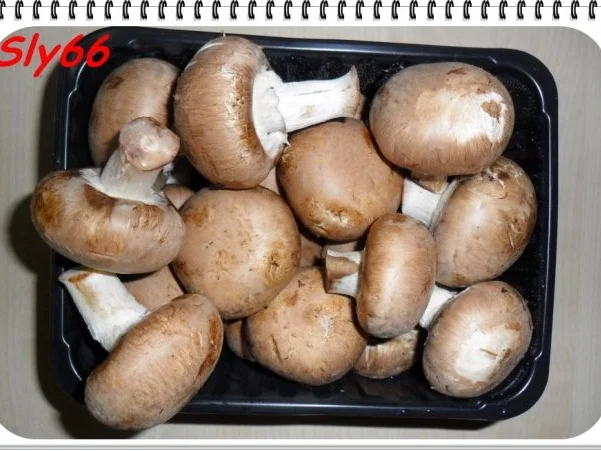 Rezept: Nudelgerichte:Spaghetti in Tomatensoße Bild Nr. 3 Nudelgerichte:Spaghetti in Tomatensoße - Rezept - Bild Nr. 3