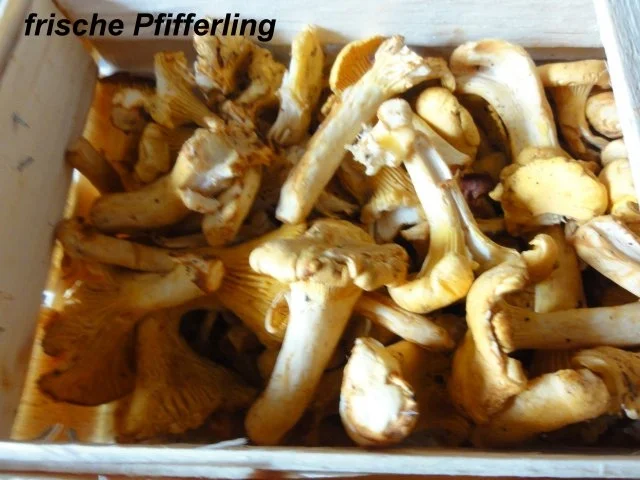 Eier:   KRÄUTER - OMELETT mit Pfifferlingfüllung - Rezept - Bild Nr. 2