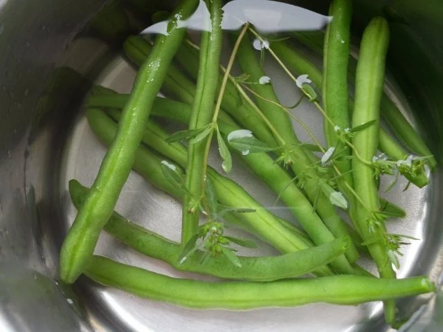 Bohnenchampignonpfanne - Rezept - Bild Nr. 3