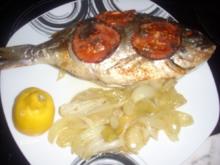 Dorade aus dem Ofen - Rezept