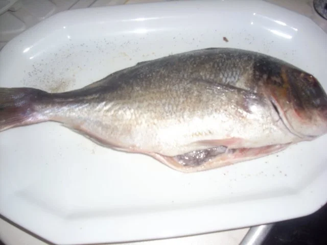 Dorade im Bratschlauch - Rezept - Bild Nr. 3